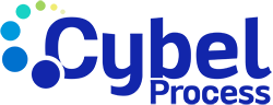 Cybel Process